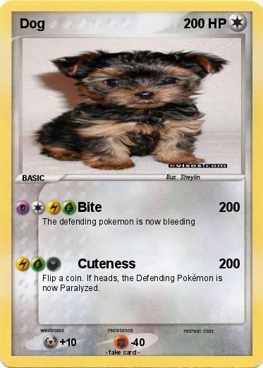 Pokemon Dog