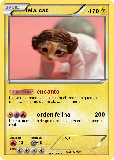 Pokemon leia cat