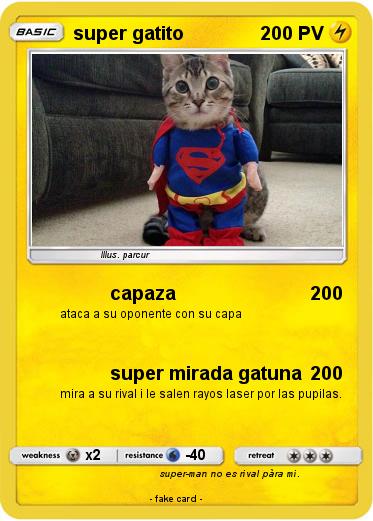 Pokemon super gatito