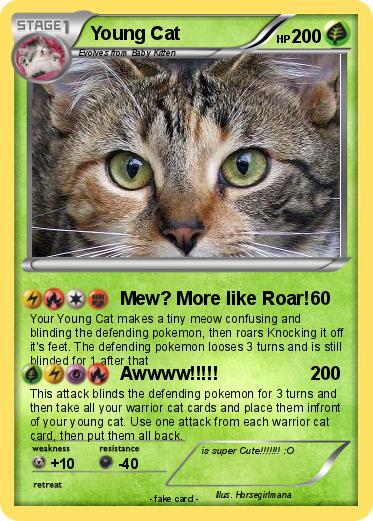 Pokemon Young Cat