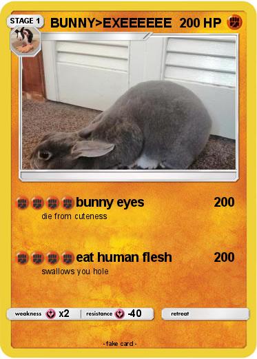 Pokemon BUNNY>EXEEEEEE