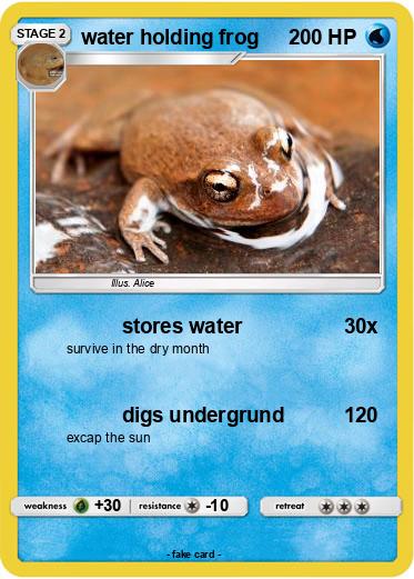 Pokemon water holding frog