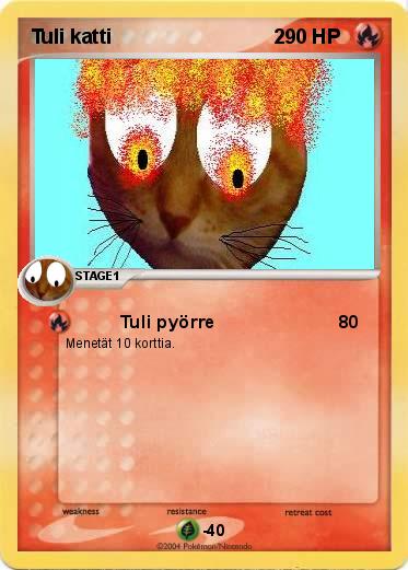 Pokemon Tuli katti                             2