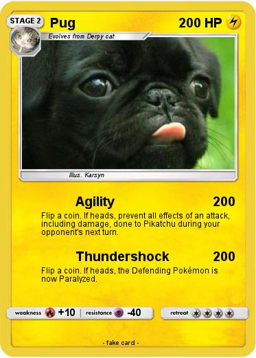 Pokemon Pug