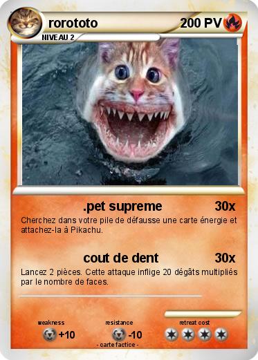 Pokemon rorototo