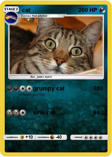 Pokemon cat