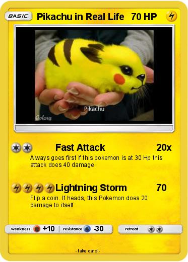 Pokemon Pikachu in Real Life