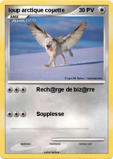 Pokemon loup arctique coµette