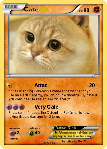 Pokemon Cate