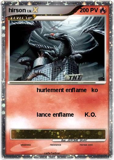 Pokemon hirson