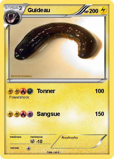 Pokemon Guideau
