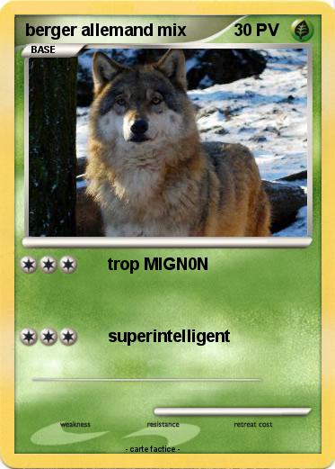 Pokemon berger allemand mix