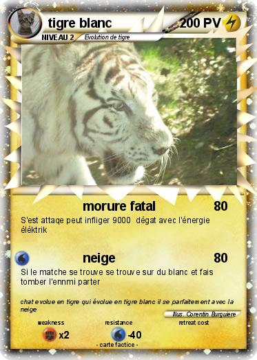 Pokemon tigre blanc
