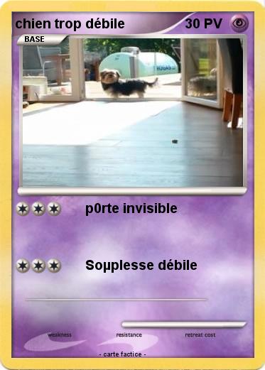 Pokemon chien trop débile