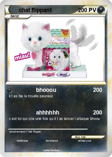 Pokemon chat flippant