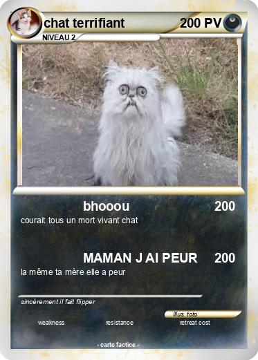 Pokemon chat terrifiant