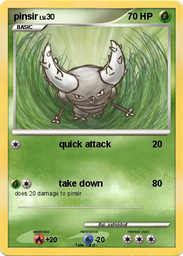 Pokemon pinsir