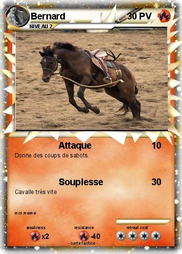 Pokemon Bernard