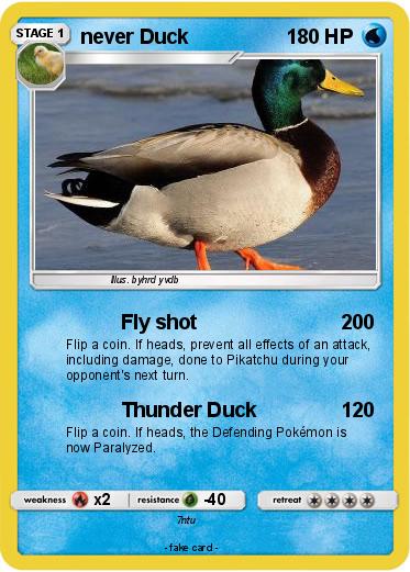 Pokemon never Duck
