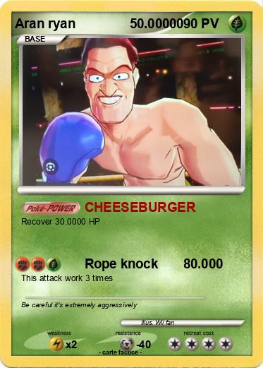 Pokemon Aran ryan               50.00000