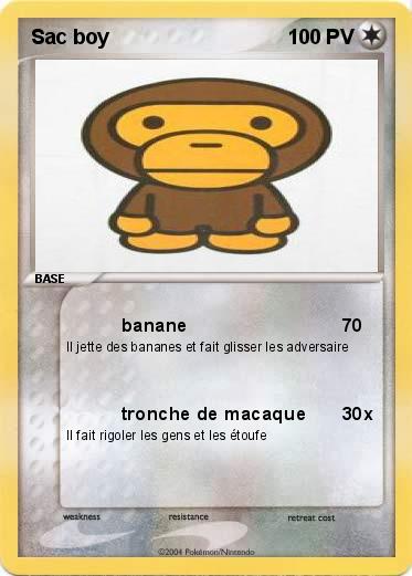 Pokemon Sac boy