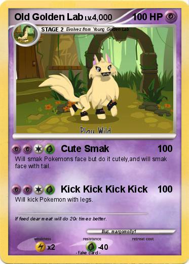 Pokemon Old Golden Lab
