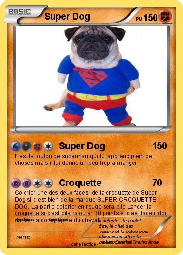 Pokemon Super Dog