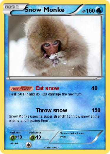 Pokemon Snow Monke