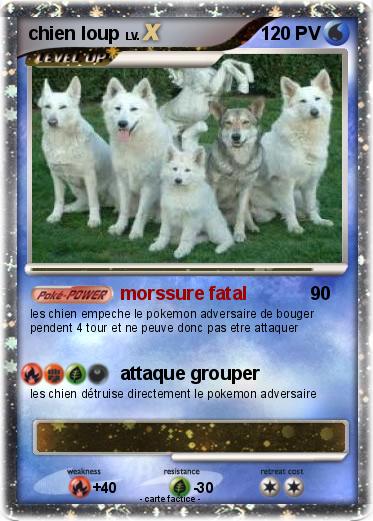 Pokemon chien loup