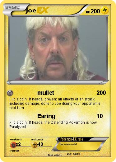 Pokemon Joe