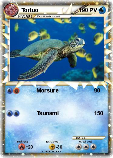 Pokemon Tortuo