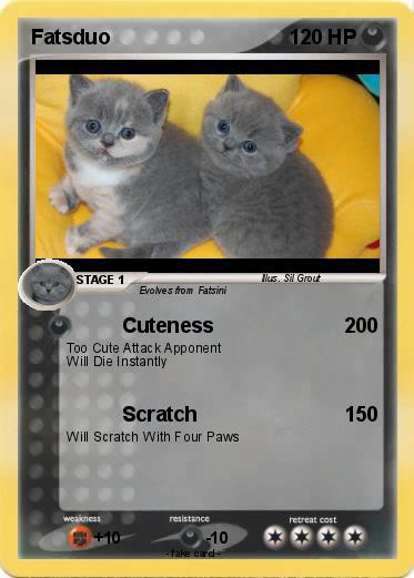 Pokemon Fatsduo