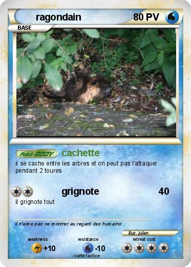 Pokemon ragondain