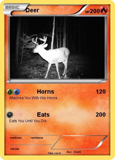 Pokemon Deer
