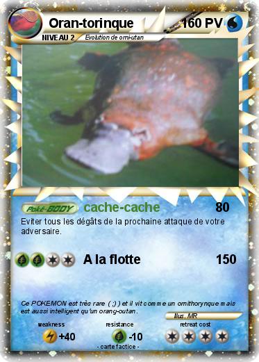 Pokemon Oran-torinque