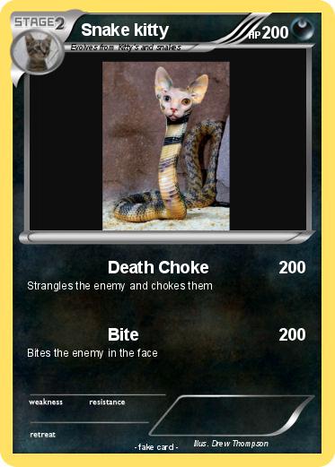 Pokemon Snake kitty