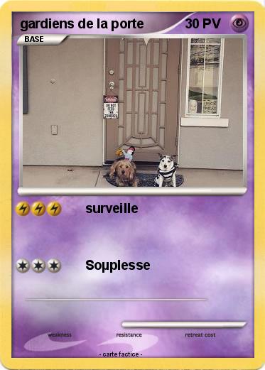 Pokemon gardiens de la porte