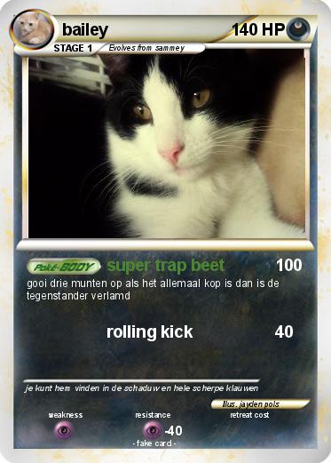 Pokemon bailey