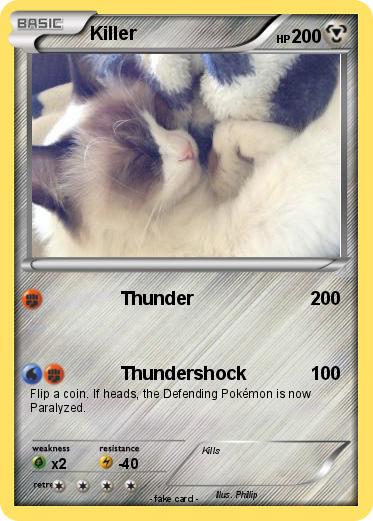 Pokemon Killer