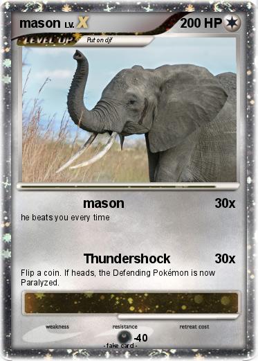 Pokemon mason