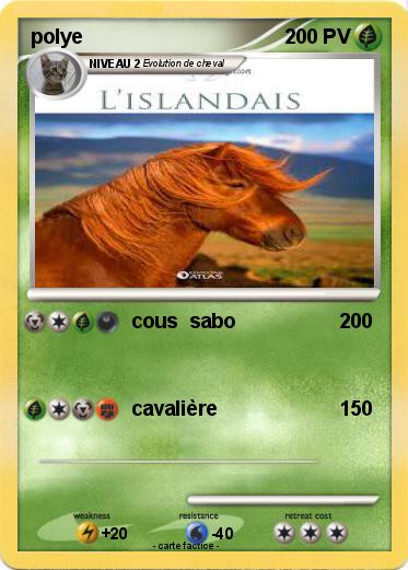 Pokemon polye