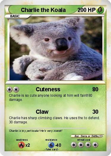 Pokemon Charlie the Koala