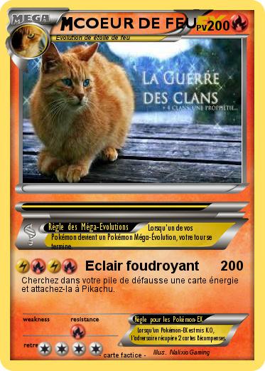 Pokemon COEUR DE FEU