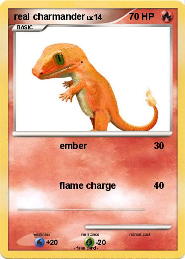 Pokemon real charmander