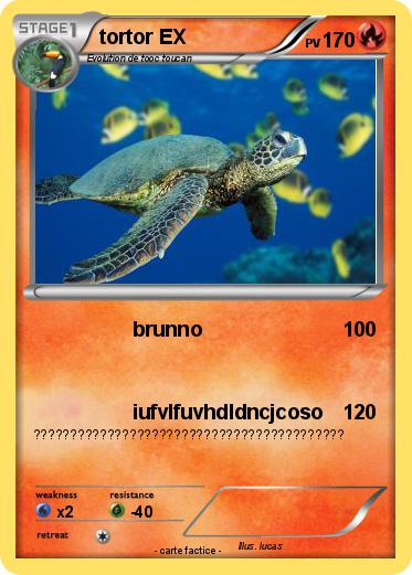 Pokemon tortor EX