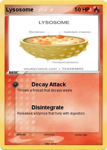 Pokemon Lysosome