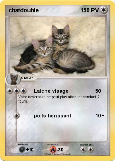 Pokemon chatdouble