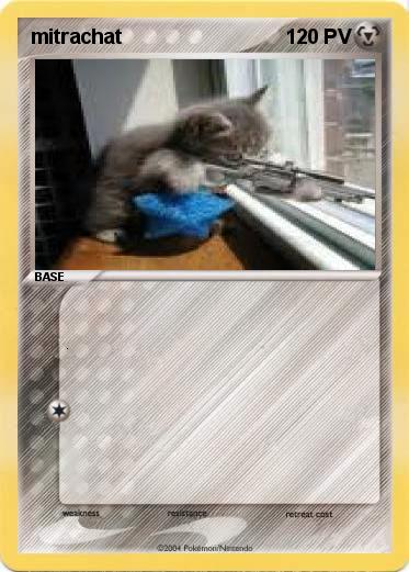 Pokemon mitrachat