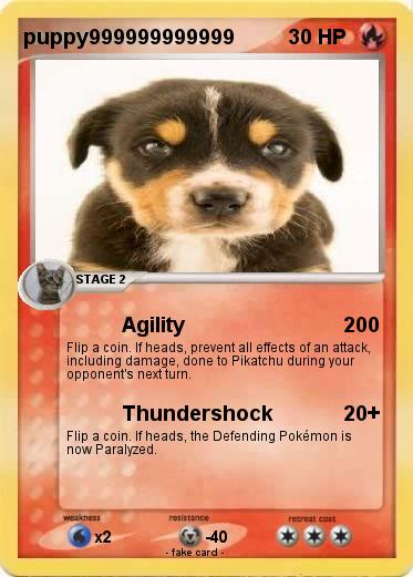 Pokemon puppy999999999999