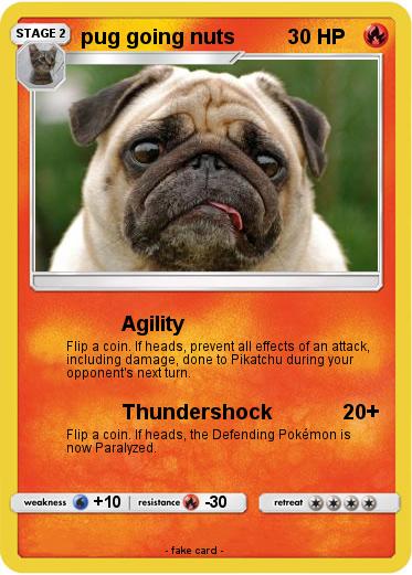 Pokemon pug going nuts